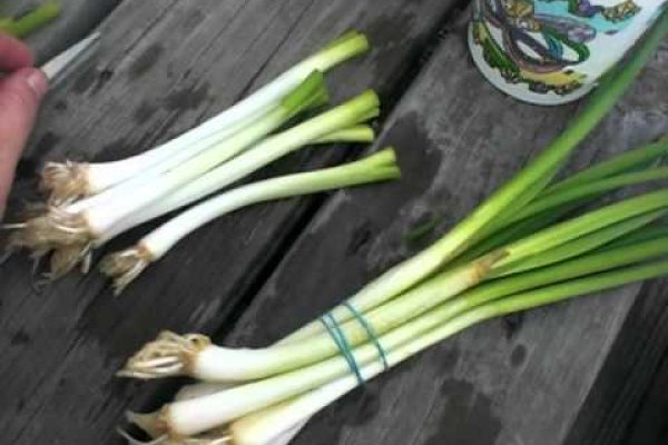 Как вернуть аккаунт кракен
